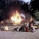 photo du film Le Survivant