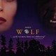 photo du film Wolf