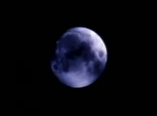 Extrait vidéo du film  Wolf