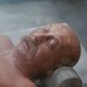 photo du film Colonel Blimp