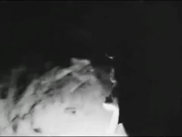 Extrait vidéo du film  Le Beau Serge