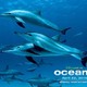 photo du film Océans