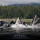 photo du film Océans