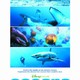 photo du film Océans