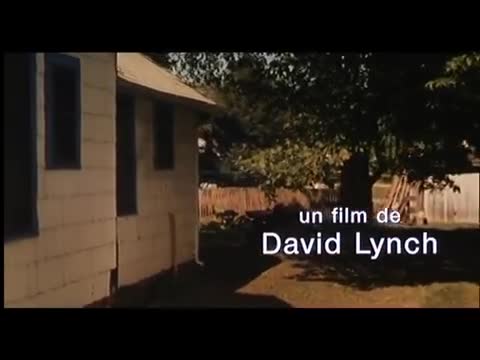 Extrait vidéo du film  Une histoire vraie