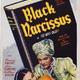 photo du film Le Narcisse noir