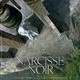 photo du film Le Narcisse noir