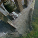 photo du film Le Narcisse noir