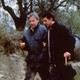 photo du film L'Arbre aux cerises