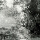 photo du film Images pour Debussy