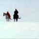 photo du film Un Roi sans divertissement