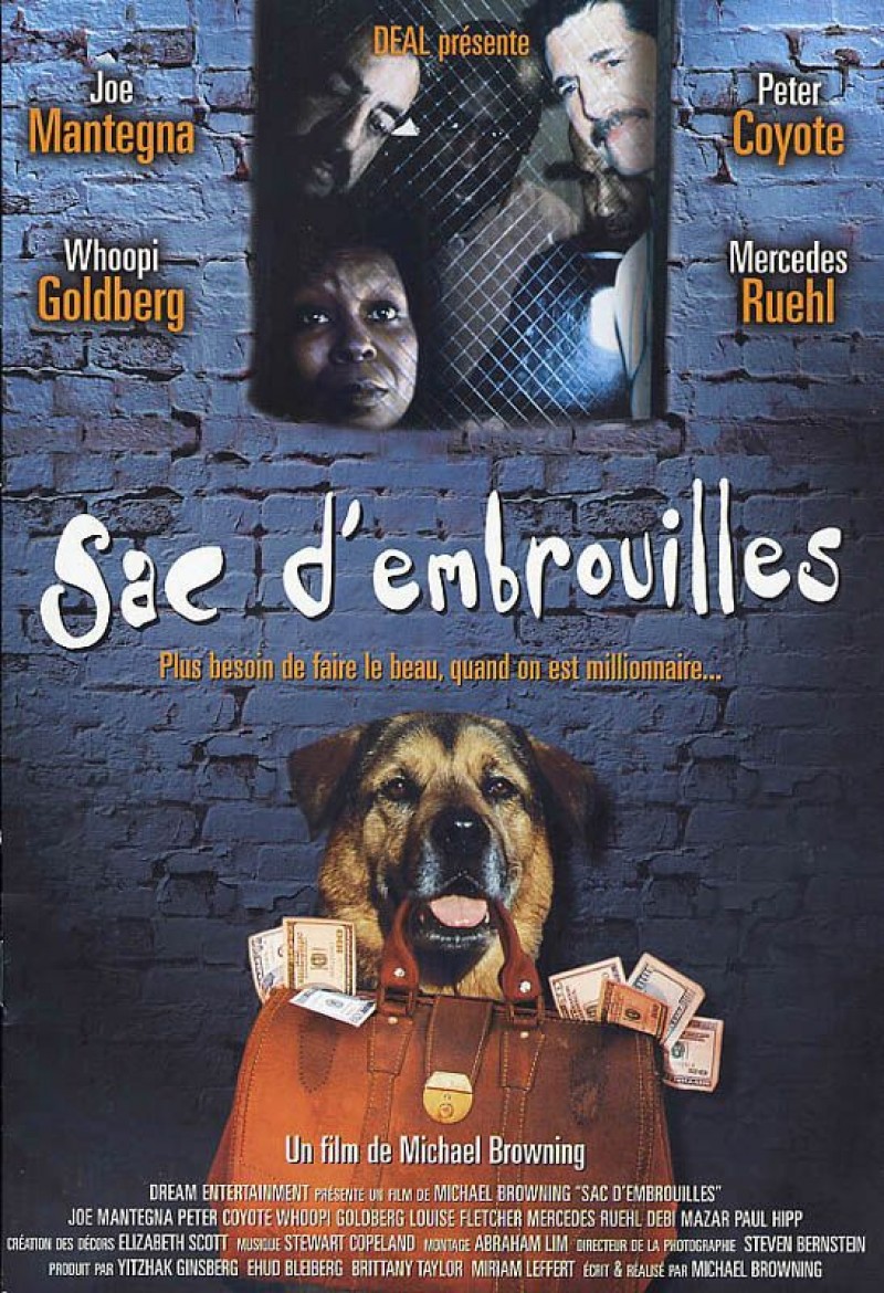 voir la fiche complète du film : Sac d embrouilles