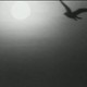 photo du film Au bord de la mer bleue