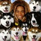 photo du film Chiens des neiges