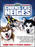 Chiens Des Neiges