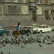 photo du film Œdipe Roi