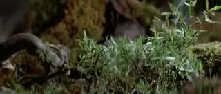 Un extrait du film  Iceman