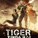 photo du film Tiger Zinda Hai