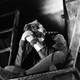 photo du film Quasimodo
