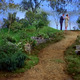 photo du film Le Rideau déchiré