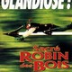 photo du film Sacré Robin des Bois