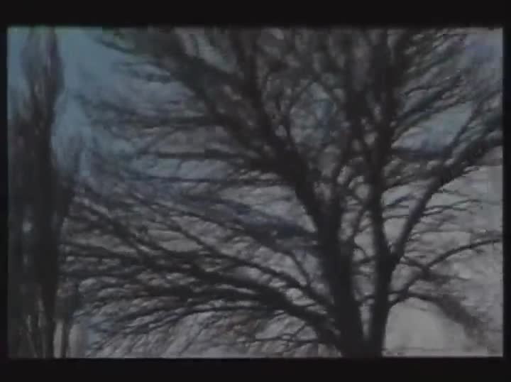 Extrait vidéo du film  Gadjo Dilo