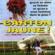 photo du film Carton jaune