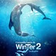 photo du film L'incroyable histoire de Winter le dauphin 2