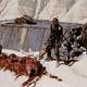 photo du film Action mutante