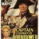 photo du film Capitaine sans peur