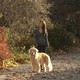 photo du film Friends with kids