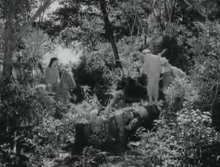 Extrait vidéo du film  Le Tronc entre les feuilles