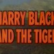 photo du film Harry Black et le Tigre