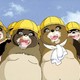 photo du film Pompoko