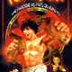 photo du film Kung pow : enter the fist