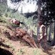 photo du film La Vallée perdue
