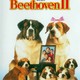 photo du film Beethoven 2