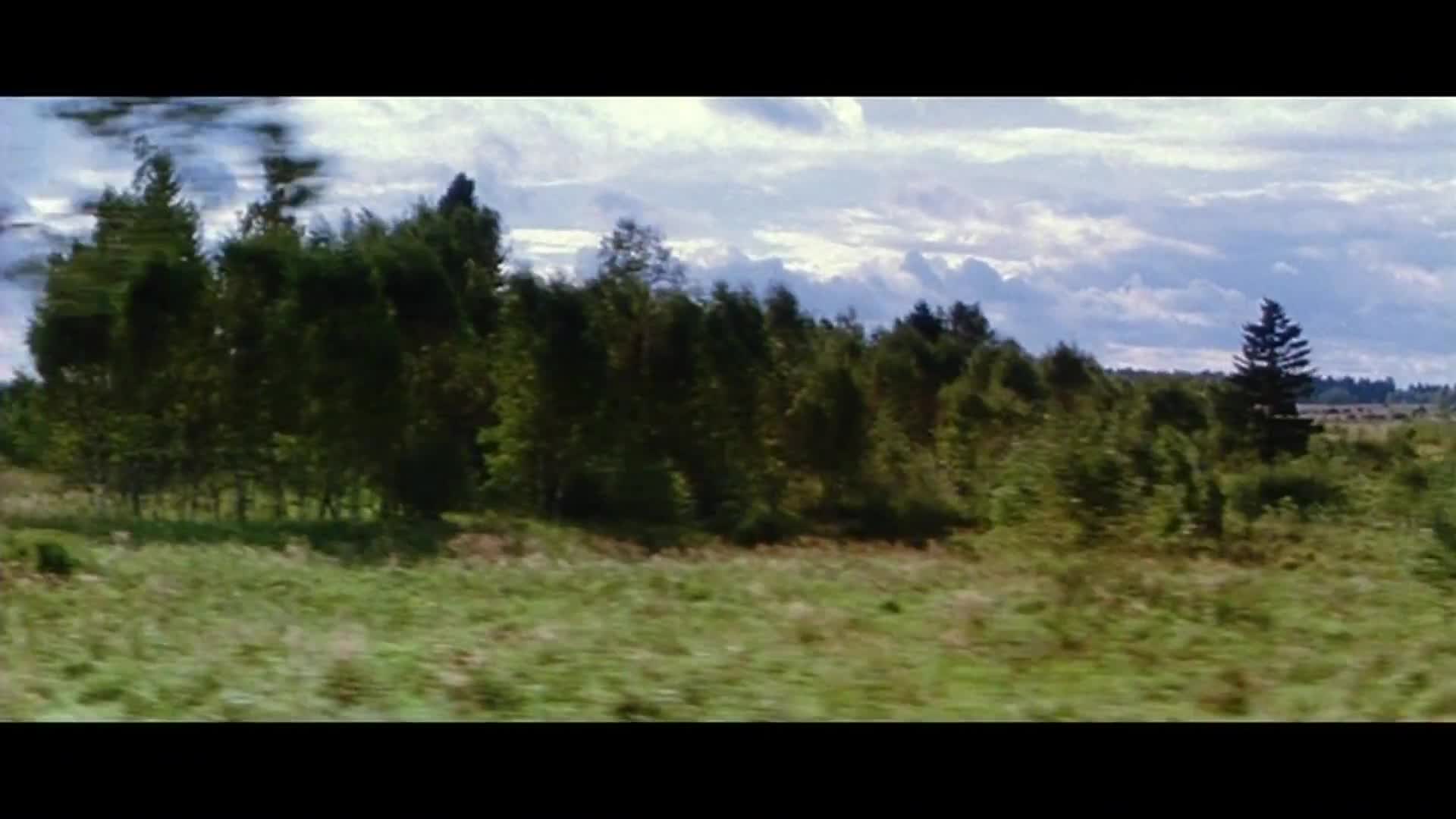 Extrait vidéo du film  Le Temps du loup