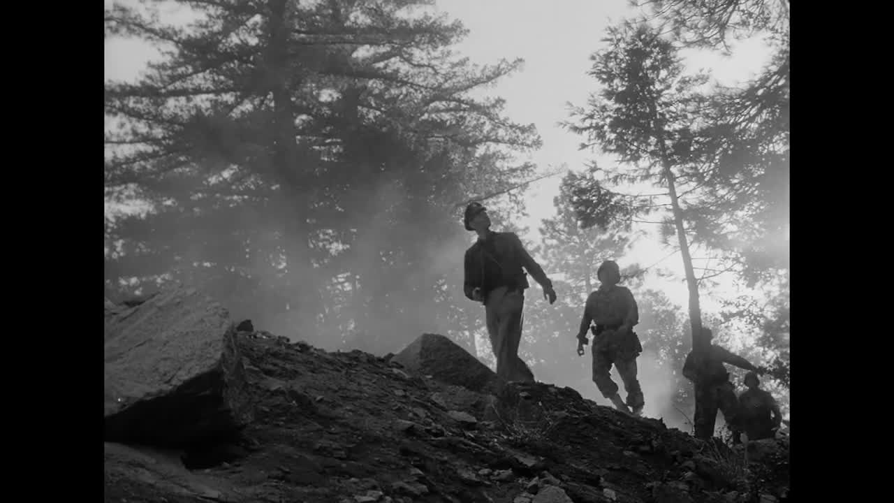 Extrait vidéo du film  Fear and Desire