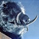 photo du film Razorback