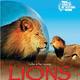 photo du film Lions, combat de rois au Kalahari