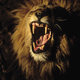 photo du film Lions, combat de rois au Kalahari