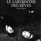 photo du film Le labyrinthe des rêves