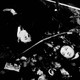 photo du film Le labyrinthe des rêves
