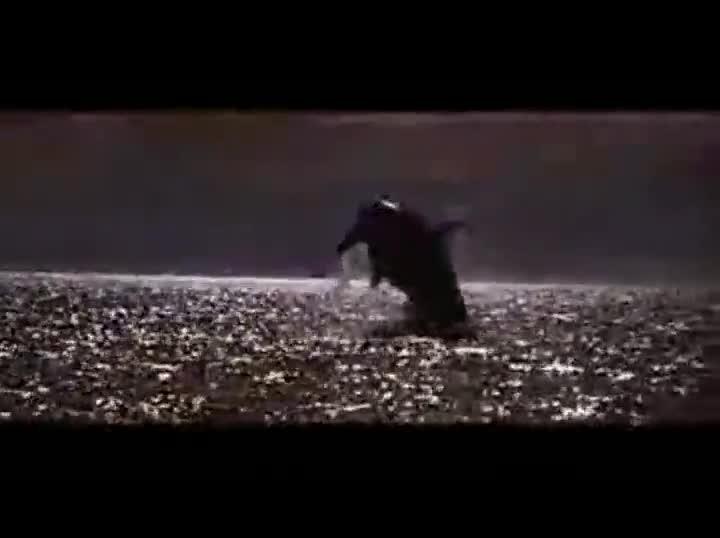 Extrait vidéo du film  Sauvez Willy
