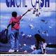 photo du film Cache cash