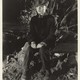 photo du film Les Mendiants de la vie