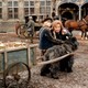 photo du film Nello et le chien des Flandres