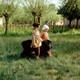 photo du film Nello et le chien des Flandres