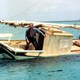 photo du film Le Sauvage
